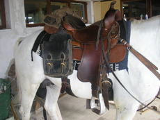Randocheval trail ride in Bulgaria : tack