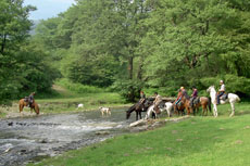 Passage de rivi&egrave;re, moment privil&eacute;gi&eacute; pour laisser boire nos montures, s&eacute;jour dans &eacute;questre les Balkans - Randocheval / Absolu Voyages