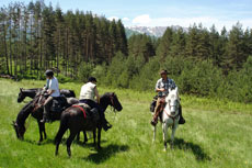 S&eacute;jour &eacute;questre en Bulgarie, Balkans et Familial - Randocheval / Absolu Voyages