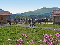 Base de d&eacute;part de notre randonn&eacute;e &eacute;questre en Bulgarie - Randocheval / Absolu Voyages