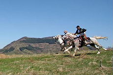 Horseback trail in Bulgaria - Randocheval