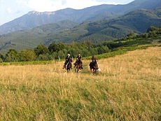 Paysage de campagne bulgare lors de notre s&eacute;jour &eacute;questre dans le Parc National des Balkans - Randocheval / Absolu Voyages
