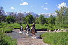 Balkan trails in Bulgaria - Randocheval