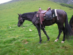 Album photos et carnet de voyage de nos randonn&eacute;es &eacute;questres dans les Balkans en Bulgarie - Rando Cheval / Absolu Voyages
