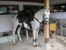 Album photos et carnet de voyage de nos randonn&eacute;es &eacute;questres dans les Balkans en Bulgarie - Rando Cheval / Absolu Voyages