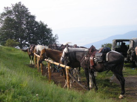 Album photos et carnet de voyage de nos randonn&eacute;es &eacute;questres dans les Balkans en Bulgarie - Rando Cheval / Absolu Voyages