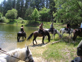 Album photos et carnet de voyage de nos randonn&eacute;es &eacute;questres dans les Balkans en Bulgarie - Rando Cheval / Absolu Voyages