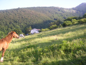 Album photos et carnet de voyage de nos randonn&eacute;es &eacute;questres dans les Balkans en Bulgarie - Rando Cheval / Absolu Voyages