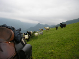 Album photos et carnet de voyage de nos randonn&eacute;es &eacute;questres dans les Balkans en Bulgarie - Rando Cheval / Absolu Voyages