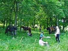 Un peu de repos pour les cavaliers et les chevaux, s&eacute;jour dans les Balkans - Randocheval / Absolu VoyagesS