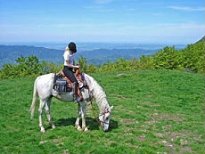 Hauts plateaux dans les Balkans, Bulgarie - Randocheval / Absolu Voyages
