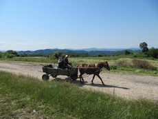 Trail ride in Bulgaria - horse cart - RANDOCHEVAL/photo A. HUGUENIN