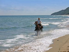 Horseback trail in Bulgaria - Randocheval