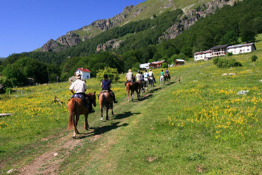 agence de rencontre bulgarie