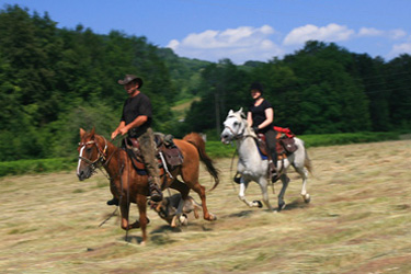 agence rencontre bulgarie