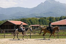 Randonn&eacute;e en &eacute;toile dans le massif des Balkans en Bulgarie - Randocheval / Absolu Voyages