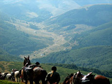 Parc National des Rochers Chantants - Randocheval / Absolu Voyages