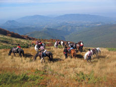 Randonn&eacute;e &eacute;questre dans la r&eacute;serve naturelle des Rochers Chantants - Randocheval / Absolu Voyages