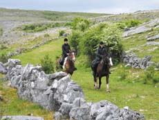 Randonn&eacute;e &eacute;questre en Irlande dans les paysages lunaires du Burren - Randocheval / Absolu Voyages