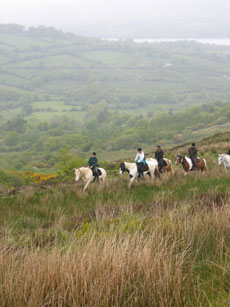 Voyage &eacute;questre au coeur des formations rocheuses particuli&egrave;res du Burren - Randonn&eacute;e &eacute;questre en Irlande - Randocheval