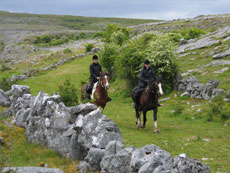 Voyage &eacute;questre au coeur des formations rocheuses particuli&egrave;res du Burren - Randonn&eacute;e &eacute;questre en Irlande - Randocheval