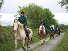 Voyage &eacute;questre au coeur des formations rocheuses particuli&egrave;res du Burren - Randonn&eacute;e &eacute;questre en Irlande - Randocheval