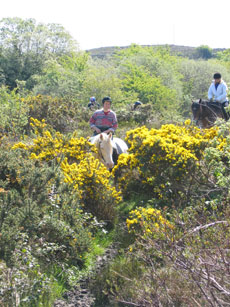 Voyage &eacute;questre au coeur des formations rocheuses particuli&egrave;res du Burren - Randonn&eacute;e &eacute;questre en Irlande - Randocheval