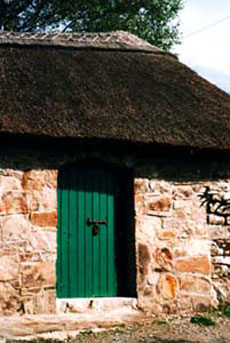 Horse riding holidays in Burren - Ireland