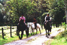 Horse riding holidays, horseback trails and equestrian vacation in Burren (Ireland - Europe)