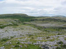 Horse riding holidays in Burren - Ireland
