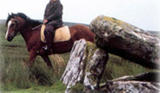Horse riding holidays, horseback trails and equestrian vacation in Burren (Ireland - Europe)