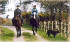 Horse riding holidays, horseback trails and equestrian vacation in Burren (Ireland - Europe)