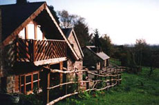 Horse riding holidays in Burren - Ireland