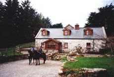 Horse riding holidays, horseback trails and equestrian vacation in Burren (Ireland - Europe)