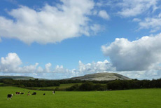 RANDOCHEVAL - Paysage d'Irlande