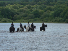 RANDOCHEVAL - Randonnée équestre en Irlande