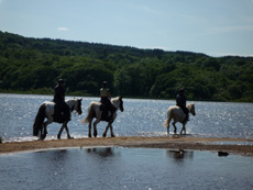 RANDOCHEVAL - Randonn&eacute;e &eacute;questre en Irlande