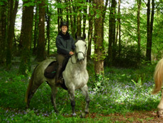 RANDOCHEVAL - Randonnée équestre en Irlande