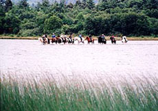 Horse riding holidays, horseback trails and equestrian vacation in Burren (Ireland - Europe)