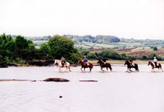 Horse riding holidays in Burren - Ireland