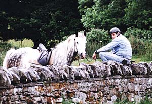 Horse riding holidays, horseback trails and equestrian vacation in Burren (Ireland - Europe)