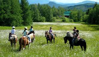 rando cheval quebec