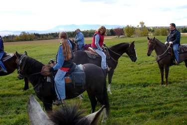 randonnee cheval sherbrooke