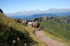 Randonnée équestre pour les juniors dans le Cantal autour des volcans d'Auvergne - Randocheval / Absolu Voyages