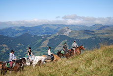 Randonn&eacute;e &eacute;questre pour les juniors dans le Cantal autour des volcans d'Auvergne - Randocheval / Absolu Voyages