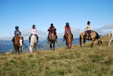 RANDOCHEVAL - Randonn&eacute;es &eacute;questres adultes dans le Cantal