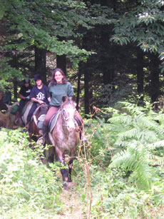 Randonnée équestre pour les juniors dans le Cantal autour des volcans d'Auvergne - Randocheval / Absolu Voyages