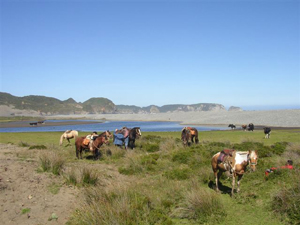 Patagonia of the Lakes, lakes of Patagonia and Chiloe - Rando Cheval / Absolu Voyages