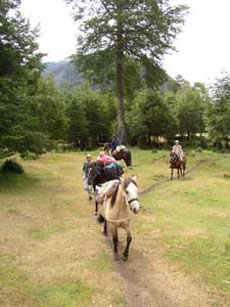 Departure for a full day horseback trail - Randocheval / Absolu Voyages