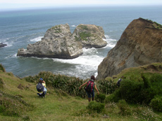 Pacific coast from Chiloe Island - Randocheval / Absolu Voyages